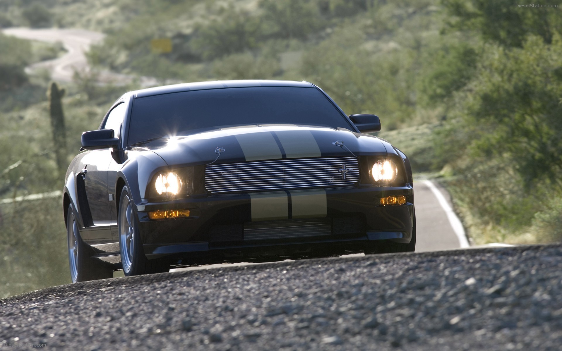 Ford Shelby GT-H